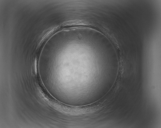 X0000085830014200703161336