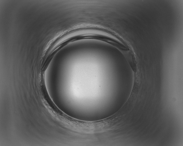 X0000085830015200703161336