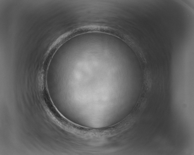 X0000085830016200703161336