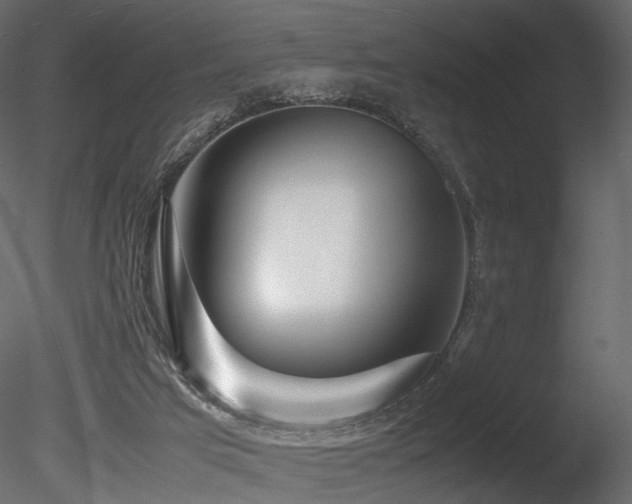 X0000085830017200703161336