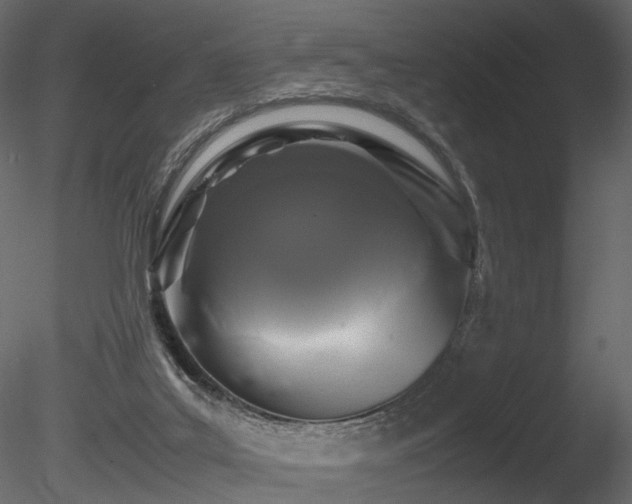 X0000085830019200703161336