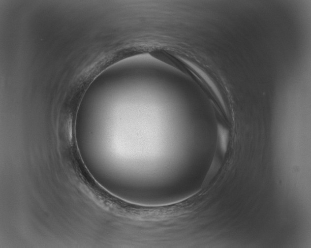 X0000085830021200703161336