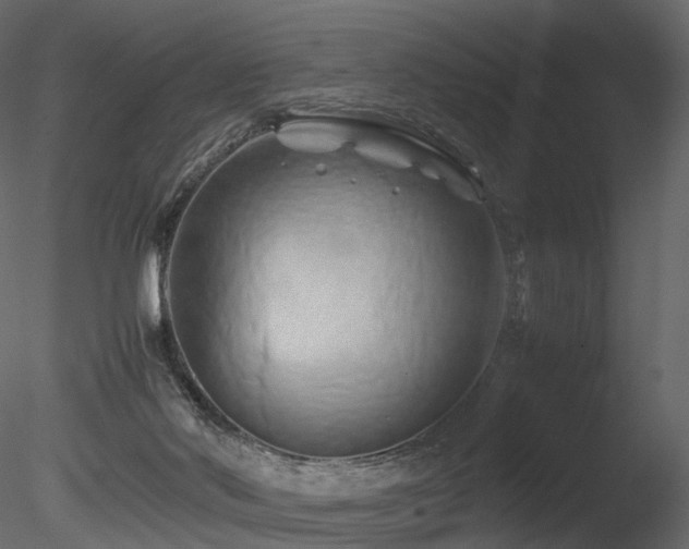 X0000085830022200703161336