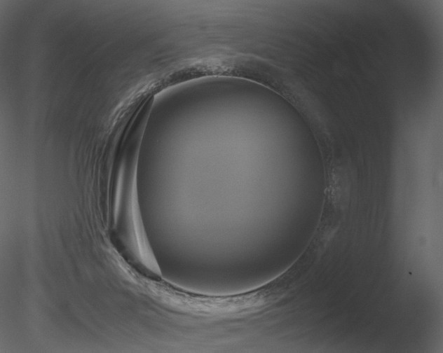 X0000085830023200703161336