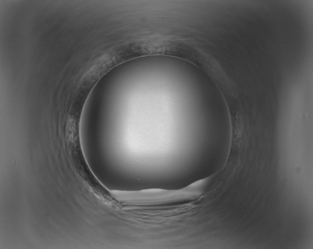 X0000085830025200703161336