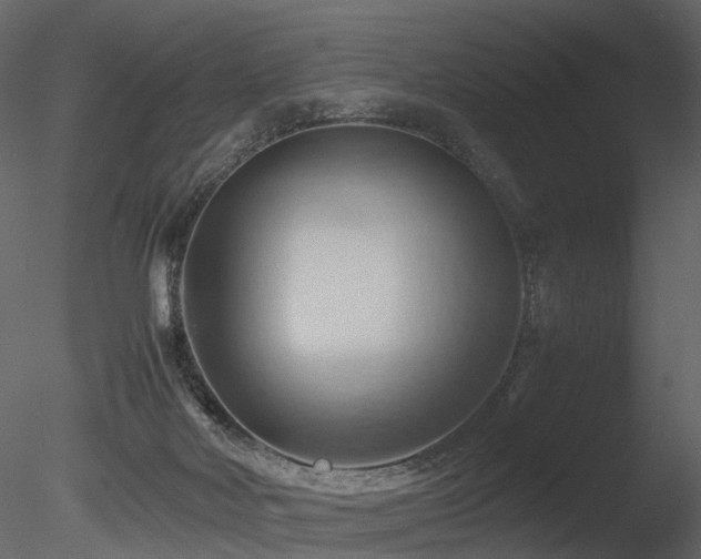 X0000085830026200703161336