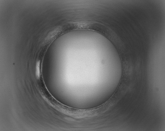 X0000085830028200703161336