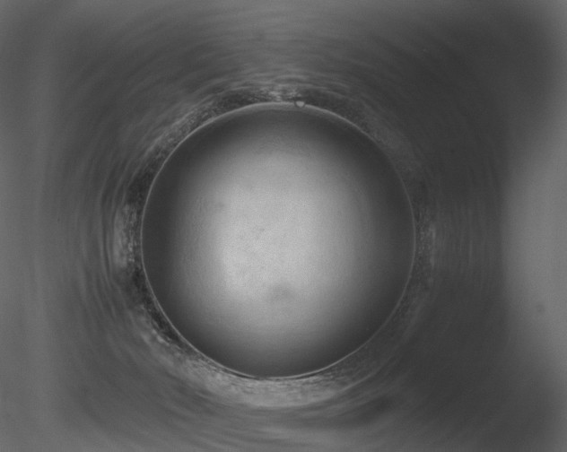 X0000085830030200703161336