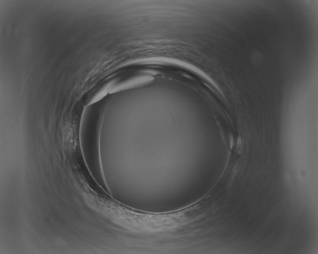 X0000085830031200703161336