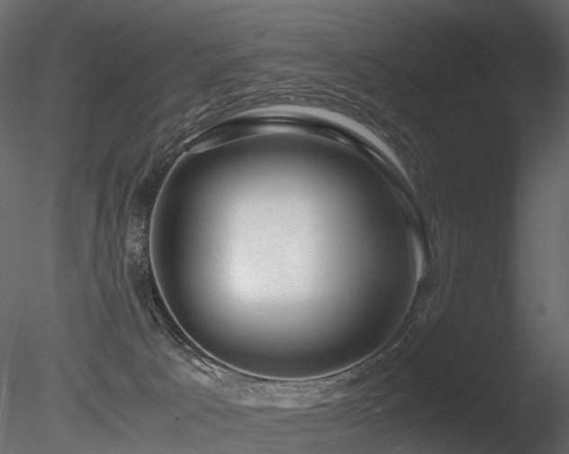 X0000085830033200703161336