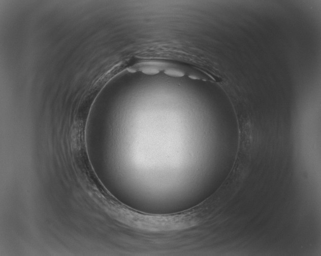 X0000085830034200703161336