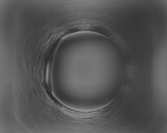 X0000085830035200703161336