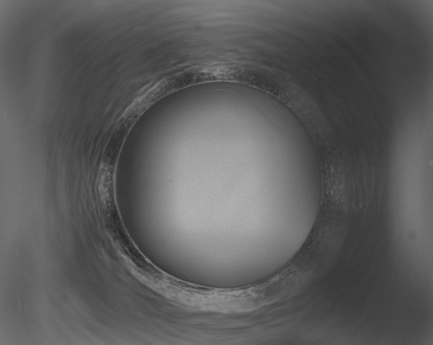 X0000085830036200703161336