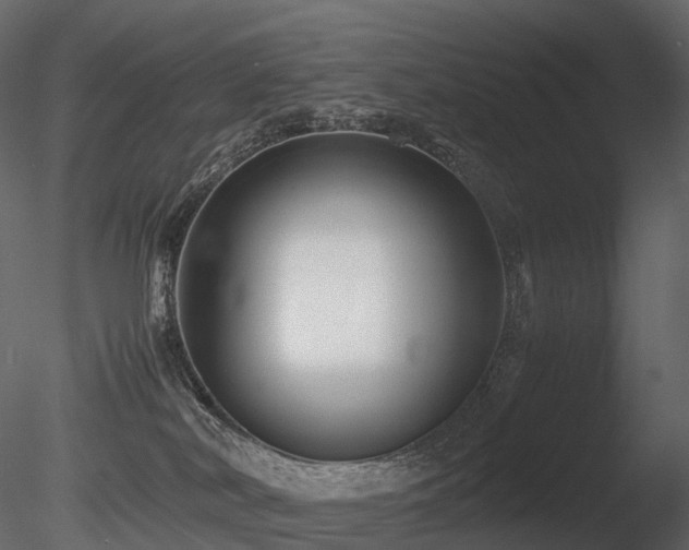 X0000085830038200703161336