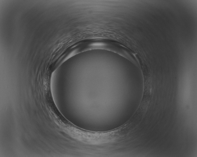 X0000085830039200703161336