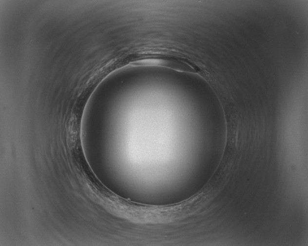 X0000085830040200703161336