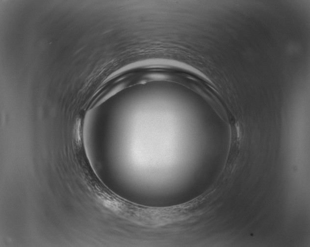 X0000085830041200703161335