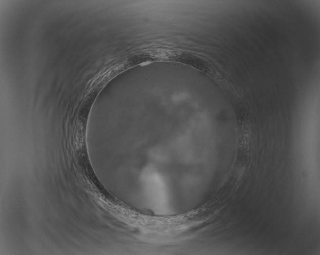 X0000085830043200703161335