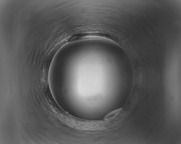 X0000085830044200703161335