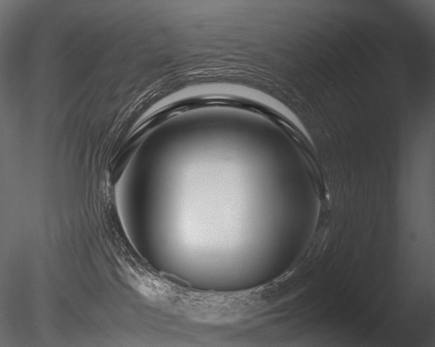 X0000085830045200703161335