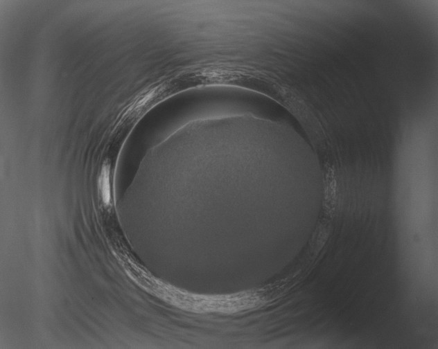 X0000085830046200703161335