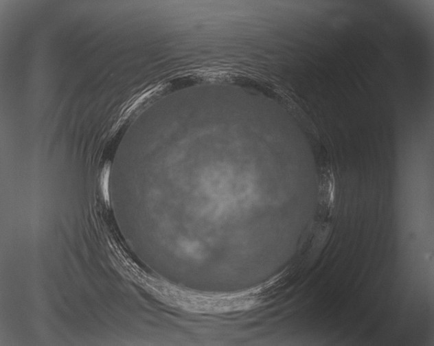 X0000085830047200703161335