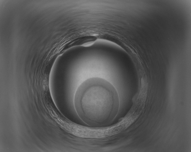 X0000085830048200703161335