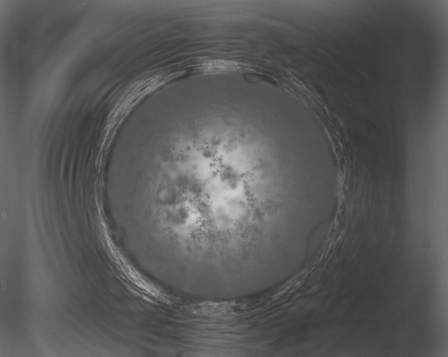 X0000085830049200703161335