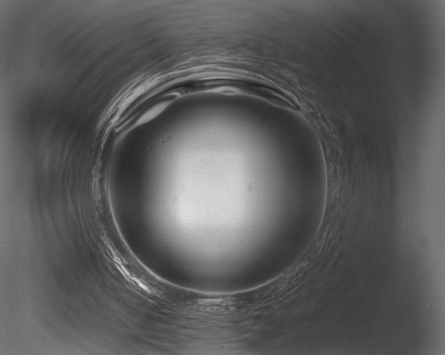 X0000085830050200703161335