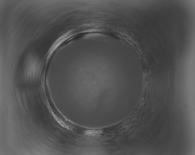 X0000085830051200703161335