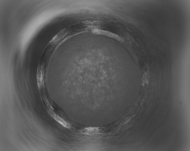 X0000085830052200703161335