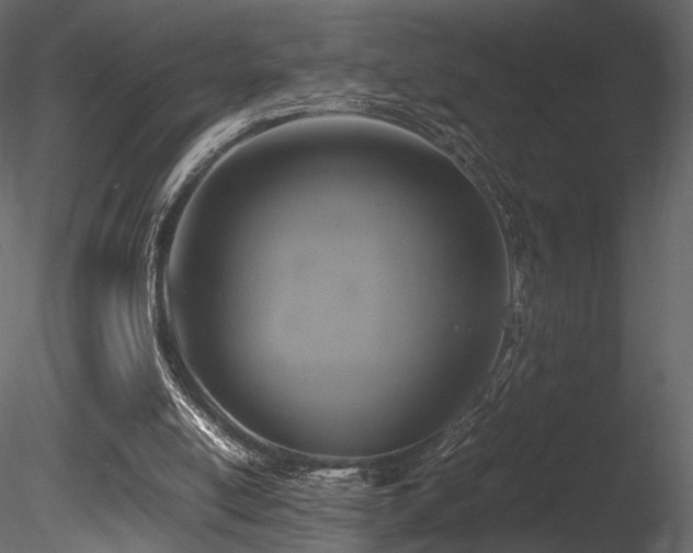 X0000085830054200703161335