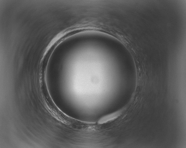 X0000085830056200703161335