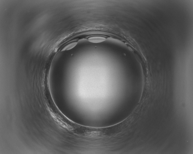 X0000085830058200703161335