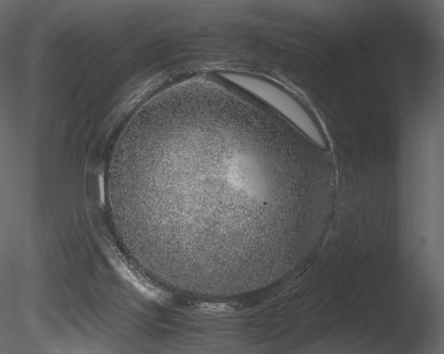 X0000085830061200703161335