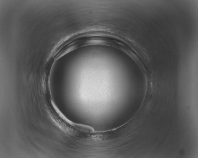 X0000085830064200703161335