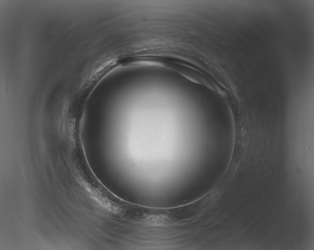 X0000085830066200703161335