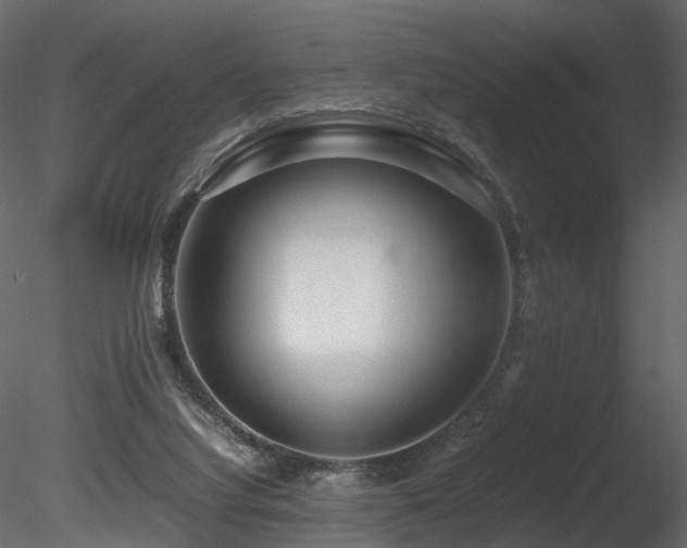 X0000085830068200703161335