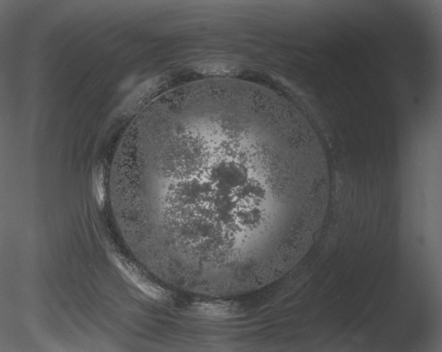 X0000085830069200703161335