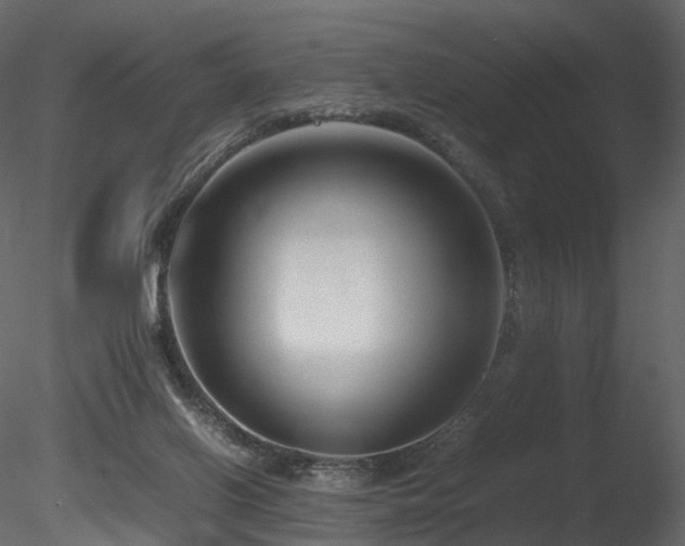 X0000085830070200703161335
