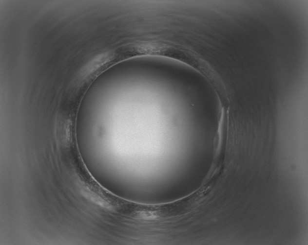 X0000085830071200703161335