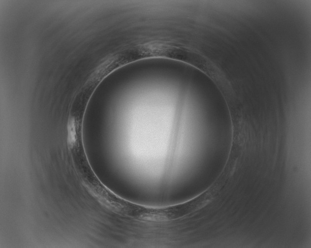 X0000085830075200703161335