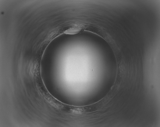 X0000085830079200703161335
