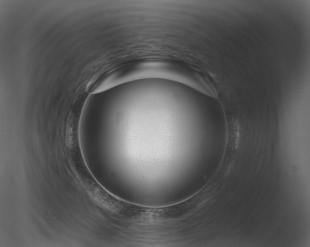 X0000085830080200703161335