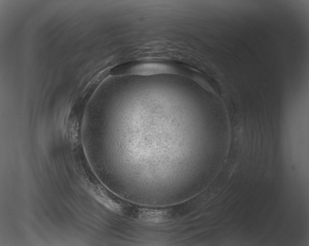 X0000085830081200703161335