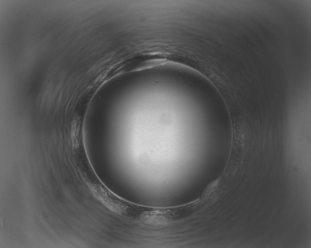 X0000085830082200703161335