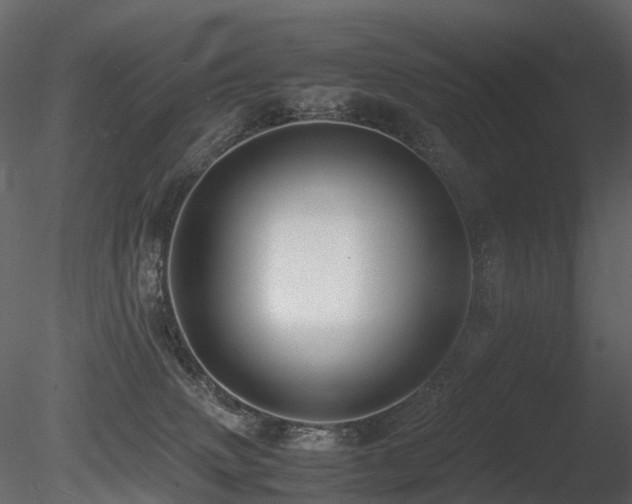 X0000085830083200703161335