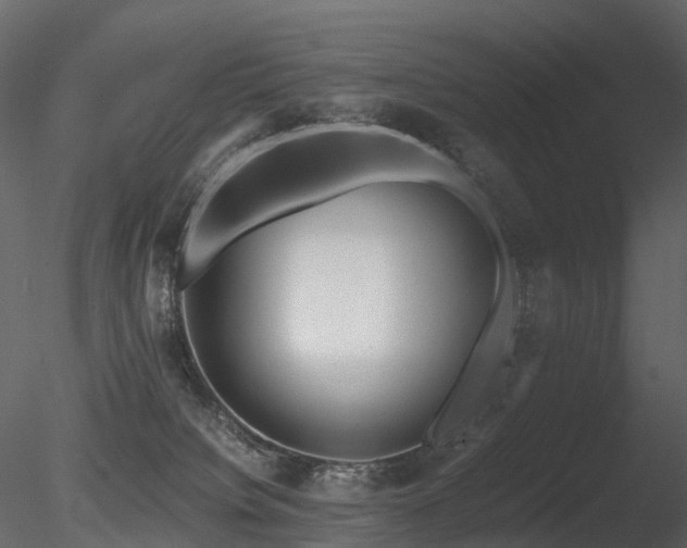 X0000085830084200703161335