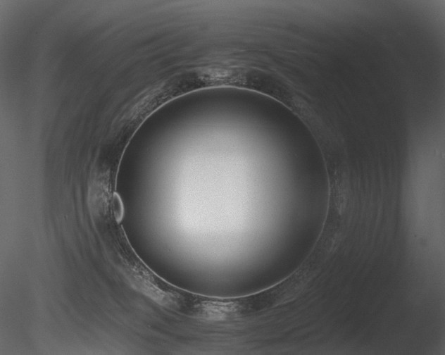 X0000085830085200703161335
