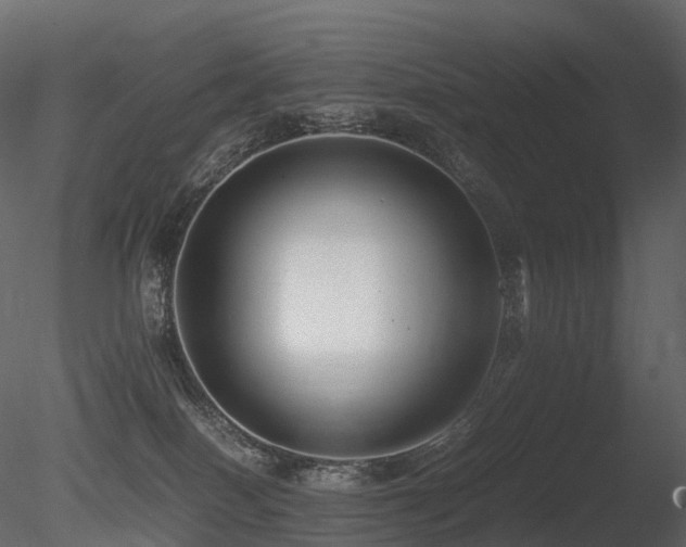 X0000085830086200703161335
